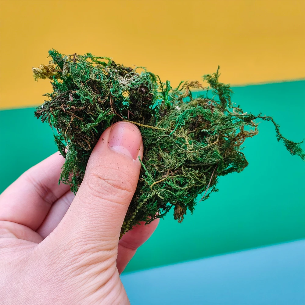 لتقوم بها بنفسك النمذجة الطحلب الاصطناعي Lichens الحرف محاكاة النباتات الخضراء وهمية ديكورات منزلية المشهد الصغير ل Diorama 1 صندوق #2