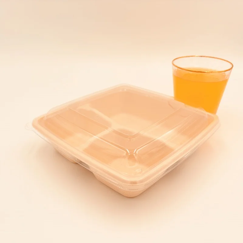 Customized productMicrowave Safe Customized Food Packaging BPA-Pulp Box For Japanese Food With Lid