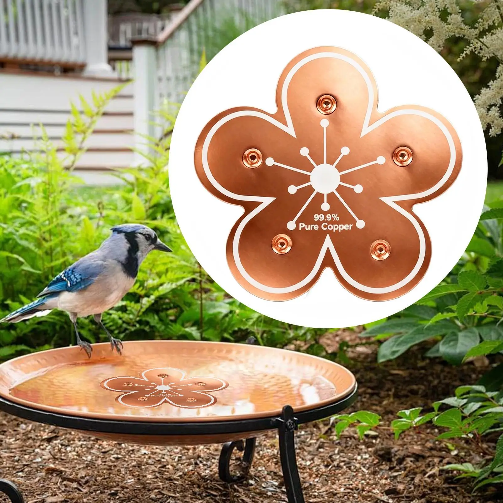 Bird bath tray Copper Bird Bath Disk Purification flower-shaped bird bath purification tray for Homeowners Gardeners Outdoor