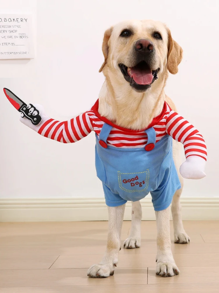 yZ[zʔ^nEBRX`[^Lp߉\ȃybgRXv킢qtFXeBoMtguh[ߑ