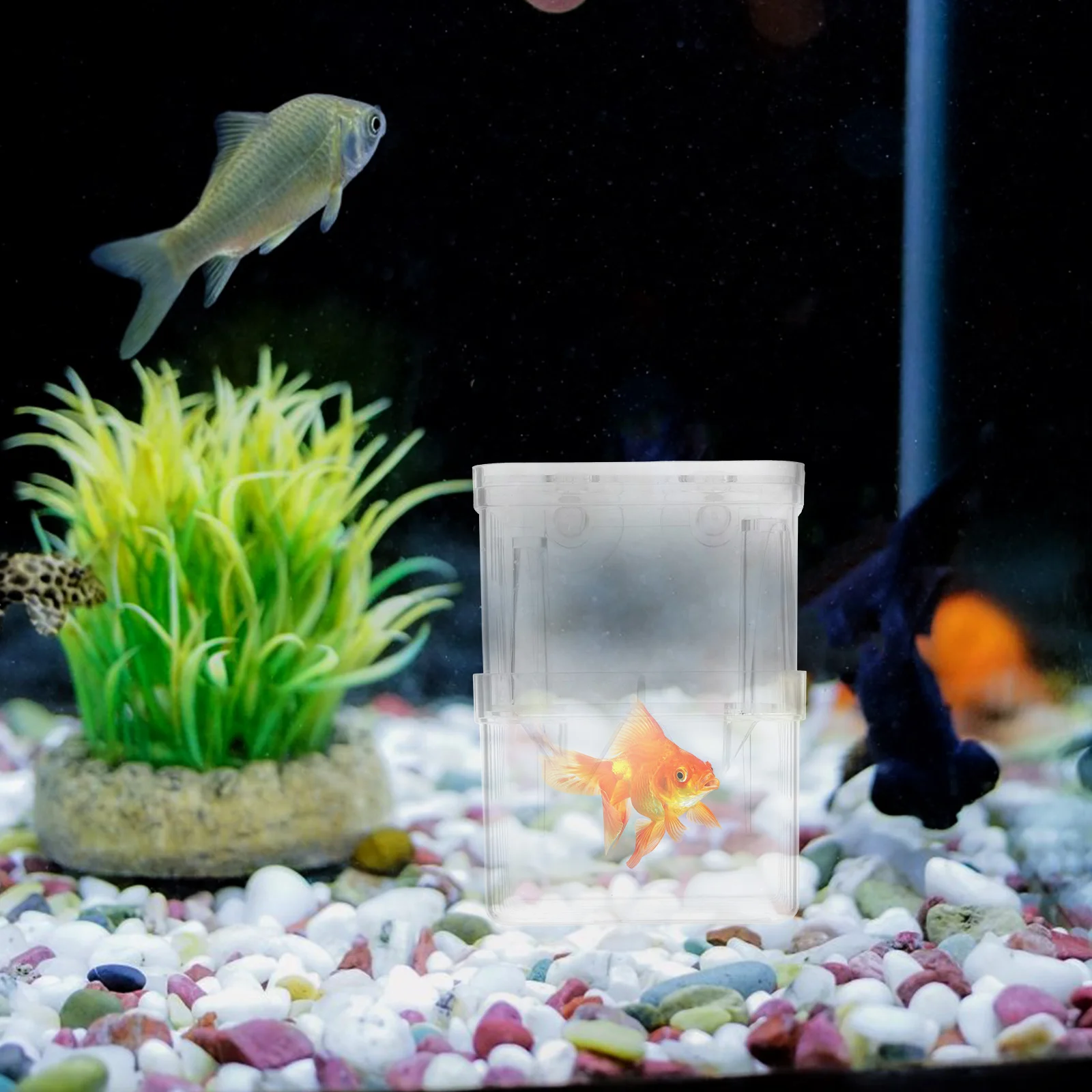

4pcs Isolation Box Breeding Sub-box Incubator Aquarium Separation Container Fish Boxes Juvenile Tank Hatchery Newborn Protection