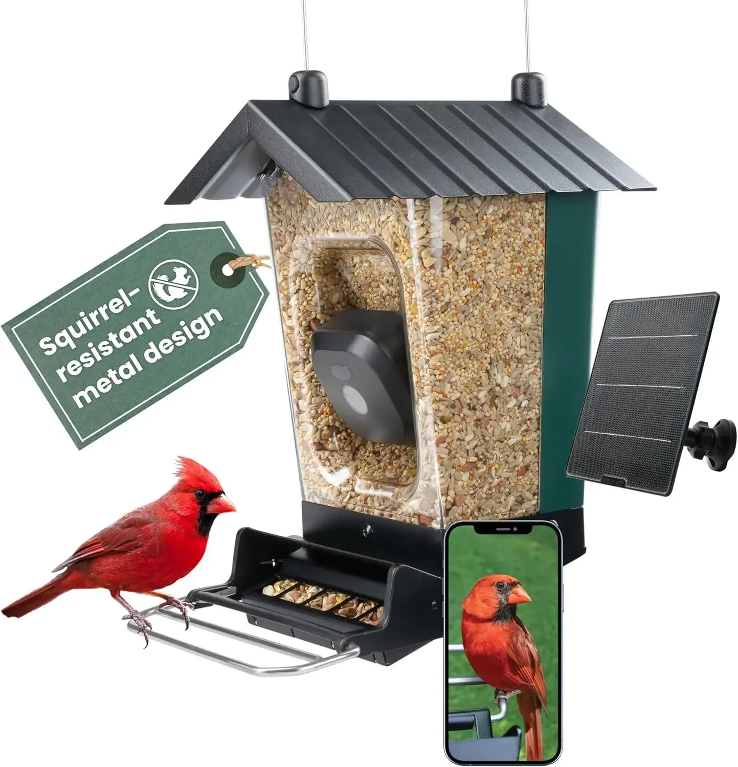 Solar Powered Smart Bird Feeder With Camera Squirrel Resistant Large Capacity Motion Activated HD WiFi Live Stream