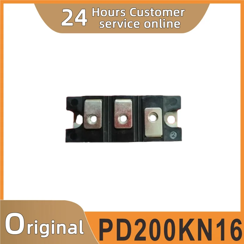 

New Original PD200KN16 Module