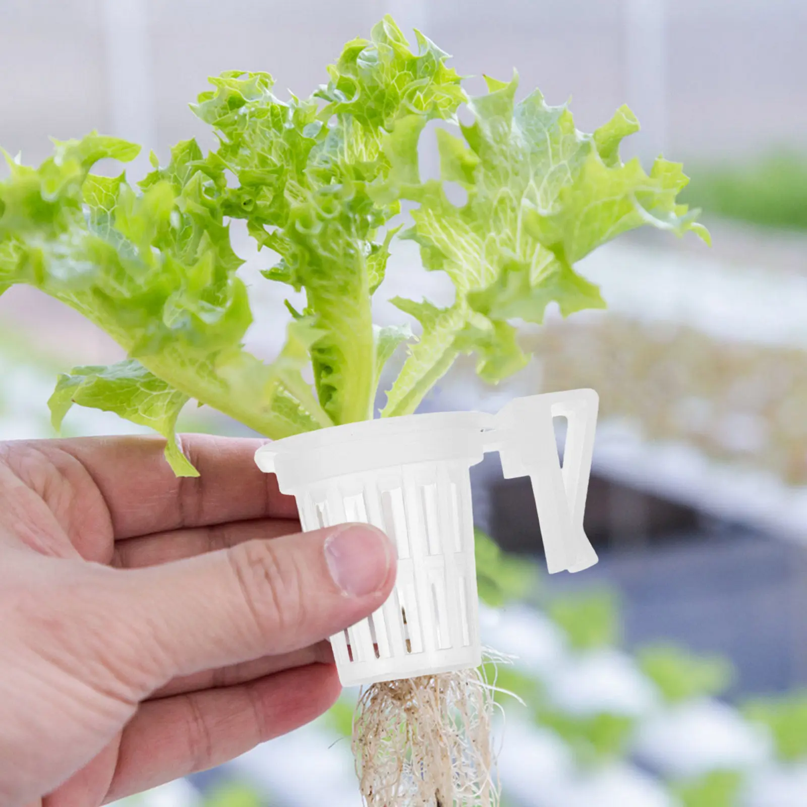 

10pcs Aquarium Plant Holder Basket 2.32X1.69X1.65In Plastic Hydroponic Planting Cup Hangable Fish Tank Planter For Live Plants