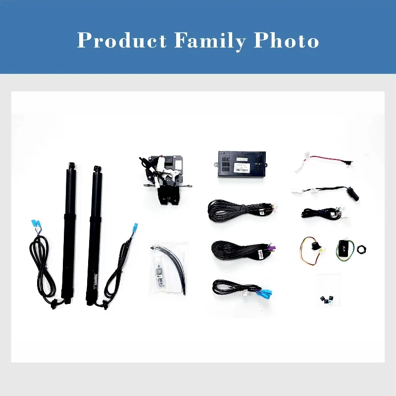 

Exclusive Production Worldwide Electric Tailgate Hydraulic Electric Tailgate for SEAGULL Custom OEM Compression Price