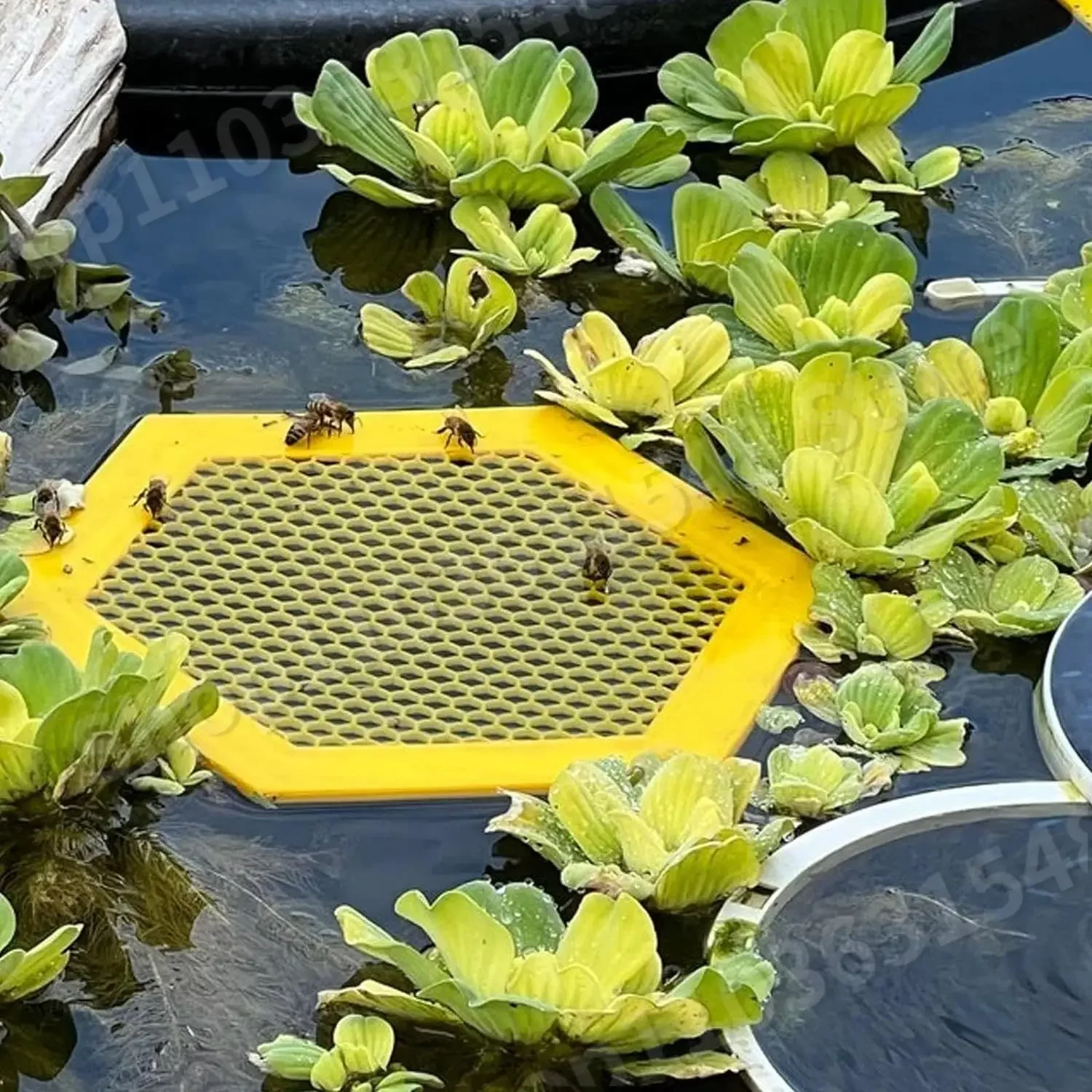 

3D Printed Floating Bee Island Bee Waterer,Bee Watering Station,Bee Insect Drinking Cups for Garden,Bee Feeders for Hives 2024