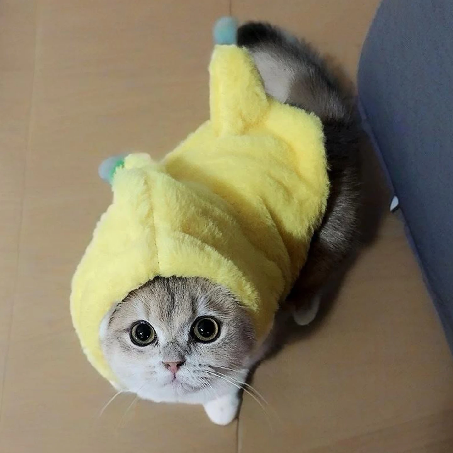 Thiened Fce Autumn … - image