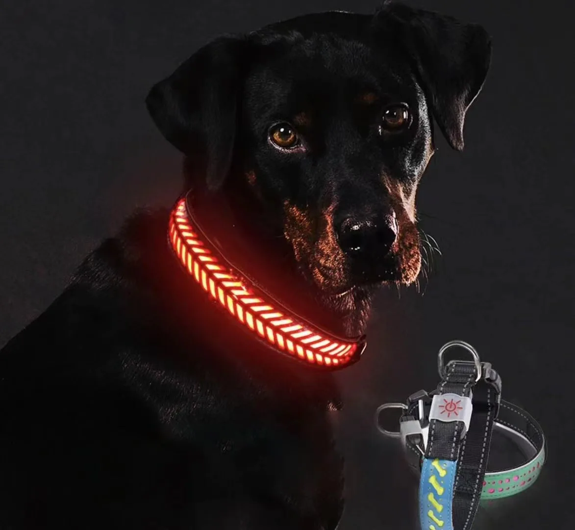 Logo Strong Rechargeable Led Walk Dog Leash Usb Adjustable In Dark Night Luminous Light Pet Collar Accessory Necklace Bungee Kit