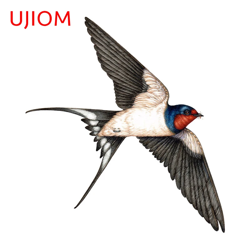 UJIOM 13cm x 12cm Sparrow Bird Wall Stickers Personality Vinyl Bathroom Decals Waterproof Scratch-Proof Wardrobe Sticker