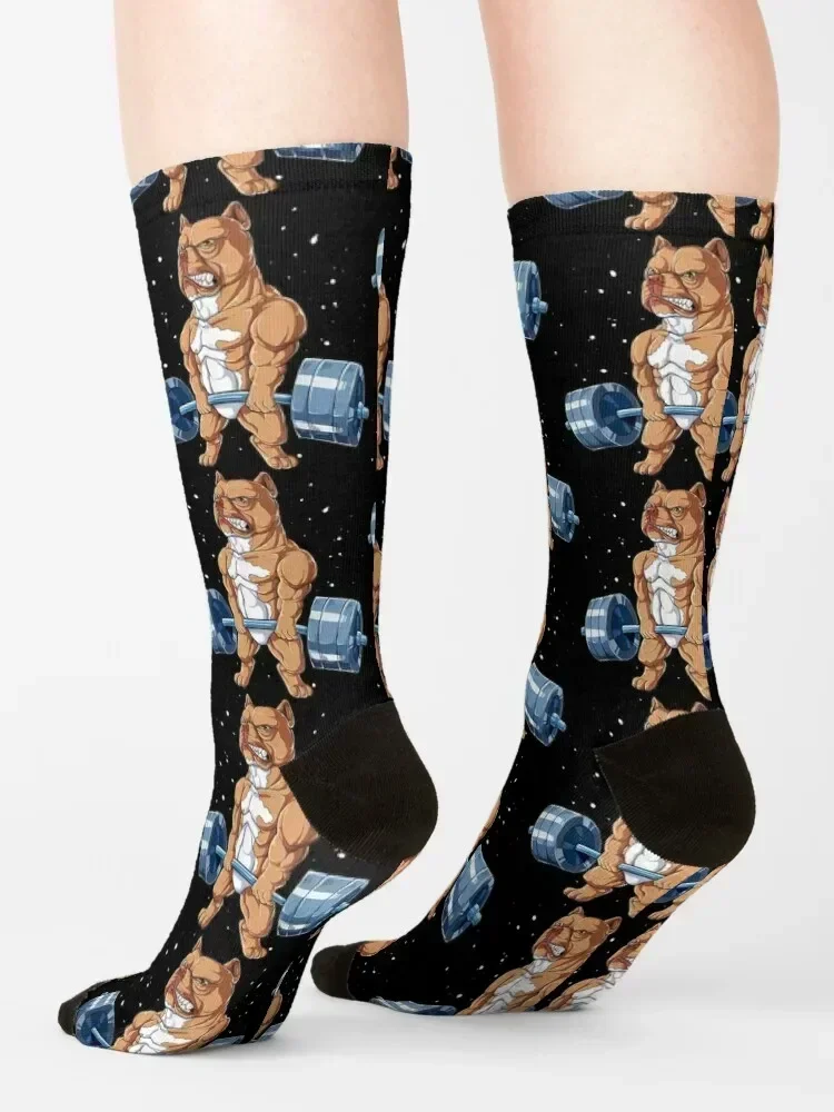 Pit Bull Weightlifting Funny Deadlift Men Fitness Gym Gifts Socks winter happy Christmas Socks For Girls Men's