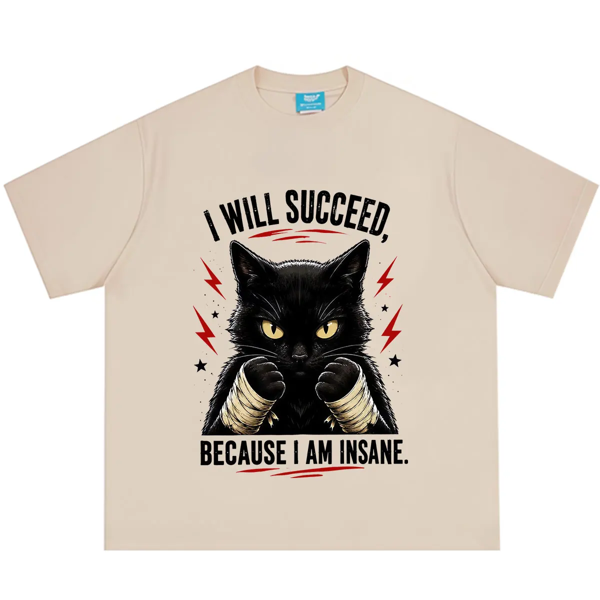 Funny Black Cats I Will Succeed Because I Am Insane T-Shirt Men Women Fashion Vintage T Shirt Oversized Cotton Casual T-shirts