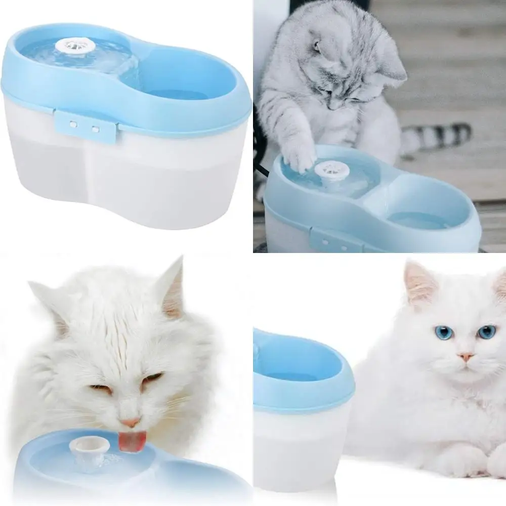 

Filtered Cat Water Fountain 67 fl. oz/2.1 Quart with Filter & Dental Care Tablet, Blue/Translucent White