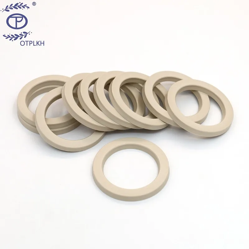 Spring seal ring for shaft PEEK Groove ring Double groove spring seal 301 V Spring polyetheretherketone Seals Factory Customized