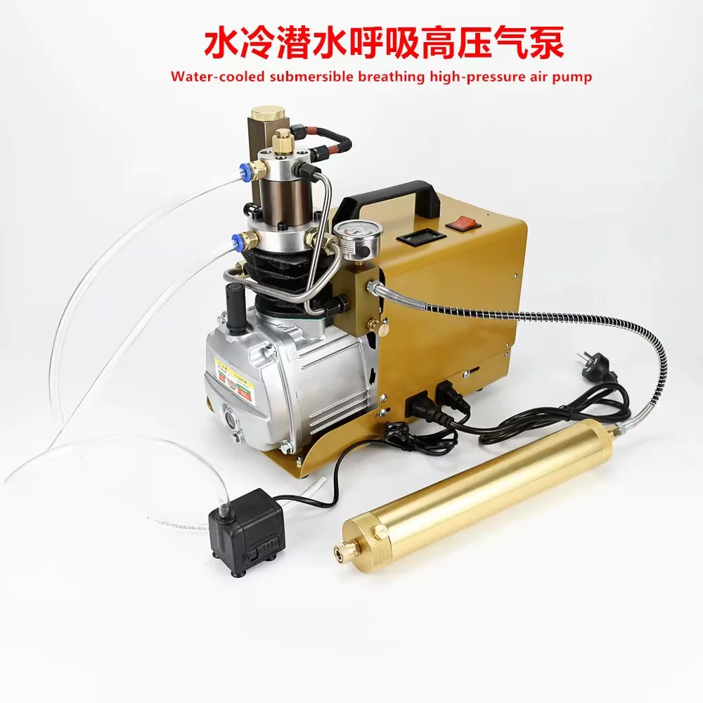 Air CompressorHot 4500 PSI 30 MPa 300 BAR 110V-220V PCP Air Compressor Pcp Air Gu N Pump For Ri Ffle Painttball