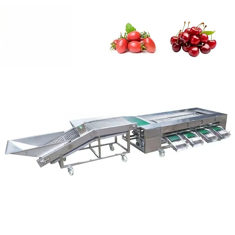 Fruit & Vegetable Grading Machine Avocado Cherry Sorting Machine Vegetable Grading Machine