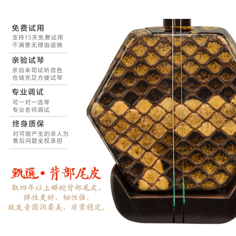 Old Redwood Erhu Instrument High-end Authentic Professional Performance Grade Erhu