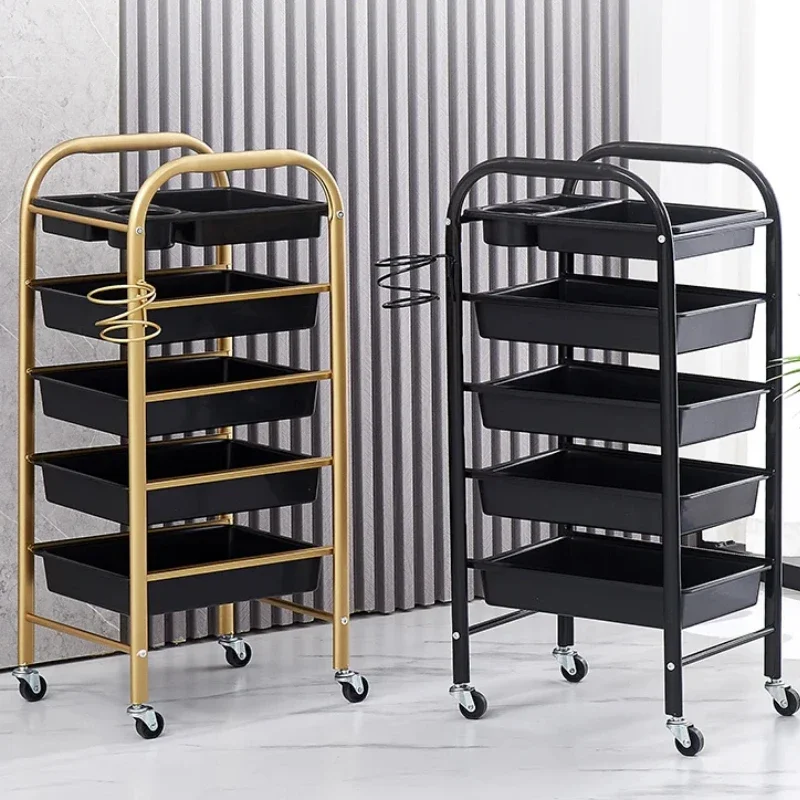 

Aesthetics Trolley Cart Salon and Barber Shop Organizer Elegant Hairdresser and Spa Storage Cart Beauty Supply Organizer