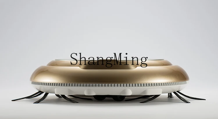 ZYY อัตโนมัติแบบบูรณาการสมาร์ทโฮมเครื่องดูดฝุ่นไร้สายเครื่องกวาดขี้เกียจกําจัดฝุ่นขนาดเล็ก