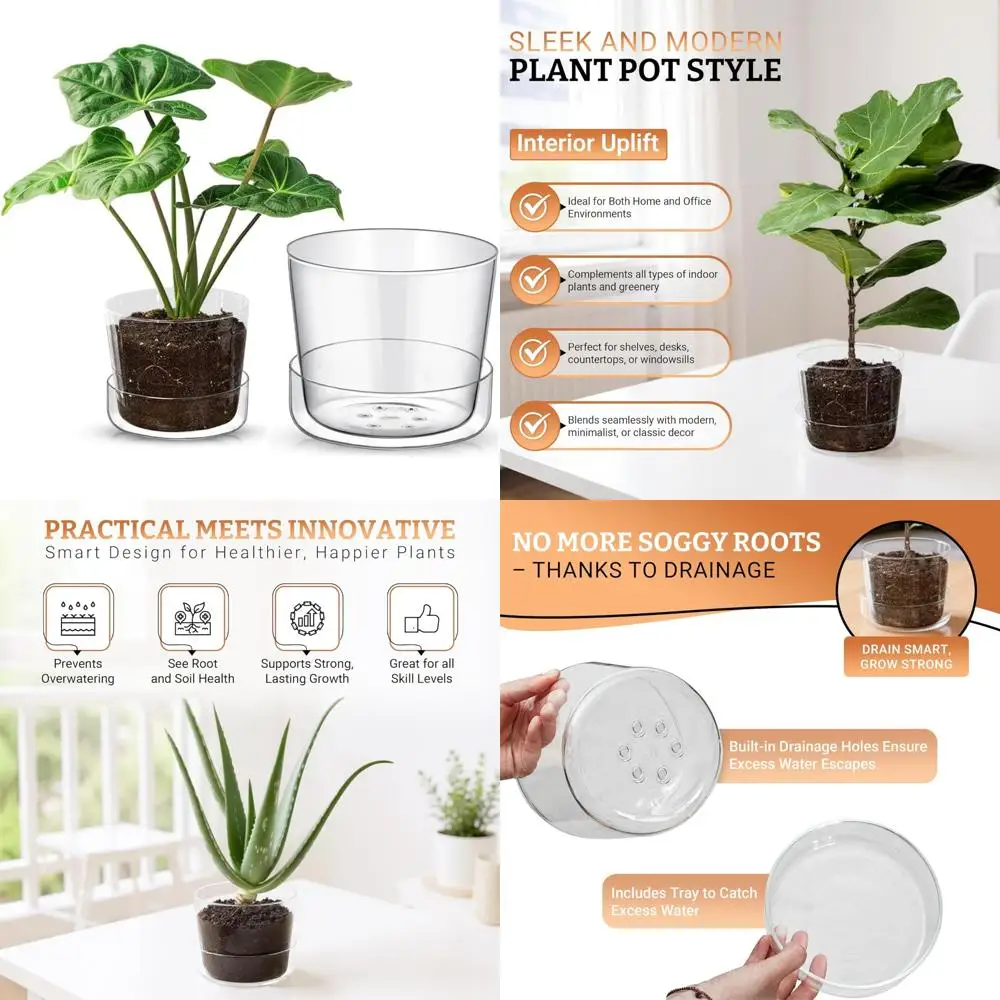 

Modern Decorative Glass Pot Planter with Drainage for Indoor Plants - Suitable for 4 and 6 Inch Plants