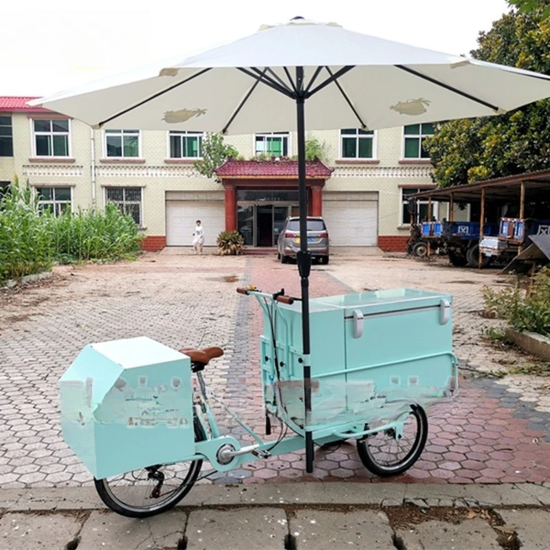 Commercial ice cream bicycle mobile stall cold drink takeaway truck with refrigerator electric reverse tricycle