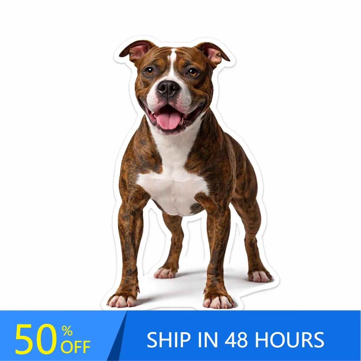 

English BullDog Peeking Paws Cute Walls Window Car Truck Gift Cool Vintage Funny