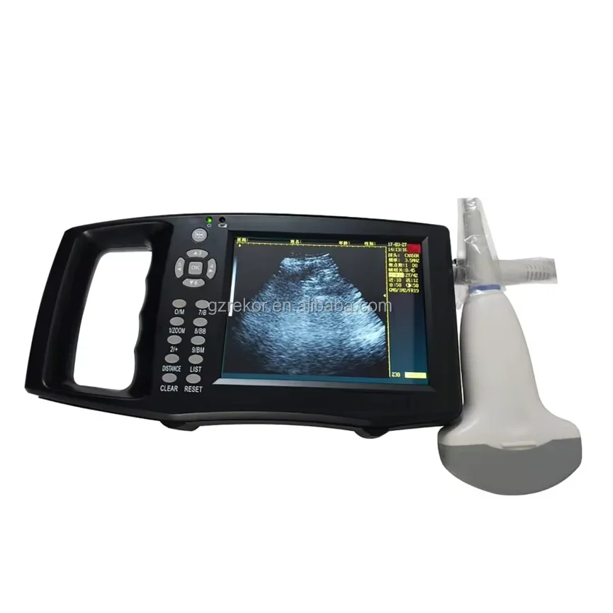 

Manufacturer veterinary Digital Animal Portable B Ultrasound Scanner for Sheep Dog Cat pig Pre-gn-ancy examination Test