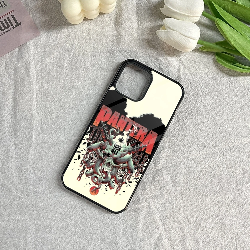 Pantera Cowboys From Hell Phone Case for Iphone 16 15 14 13 12 11 Pro Max Mini 8 Plus Se Xr X Xs Fundas Shell PC+TPU Cover