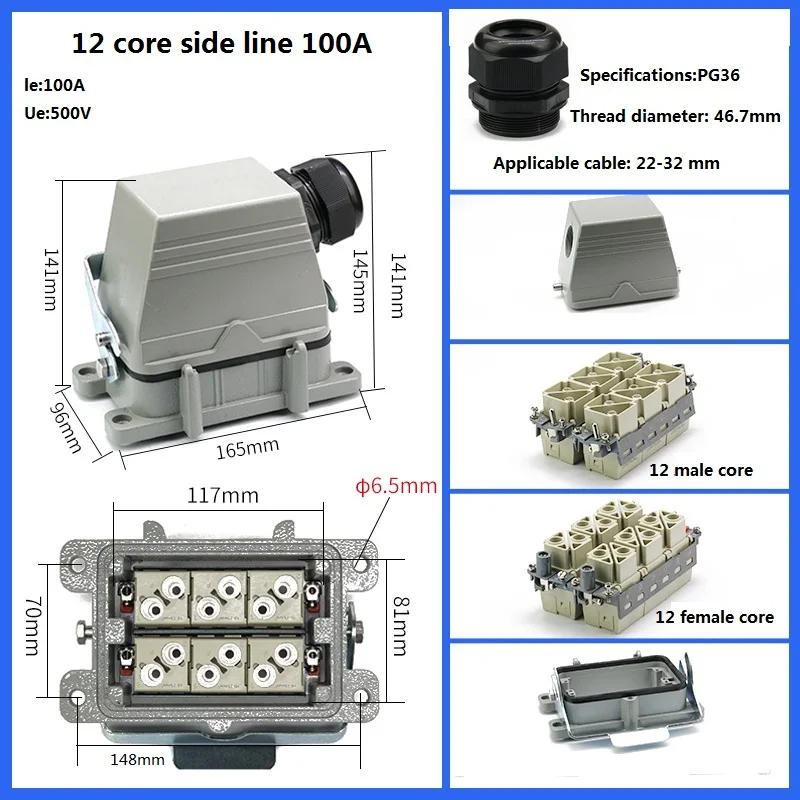 Variant: 12 core side 100A