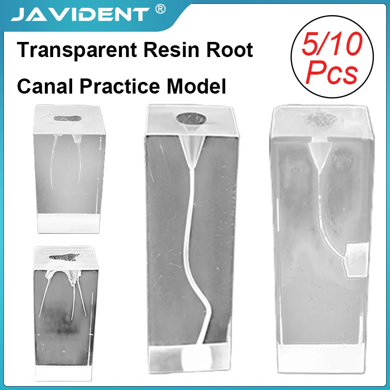 5/10Pcs Dental Clear Model Endo Teeth Model Root Canal Practice RCT Training Block Resin Tooth Dentistry Student Training Demo