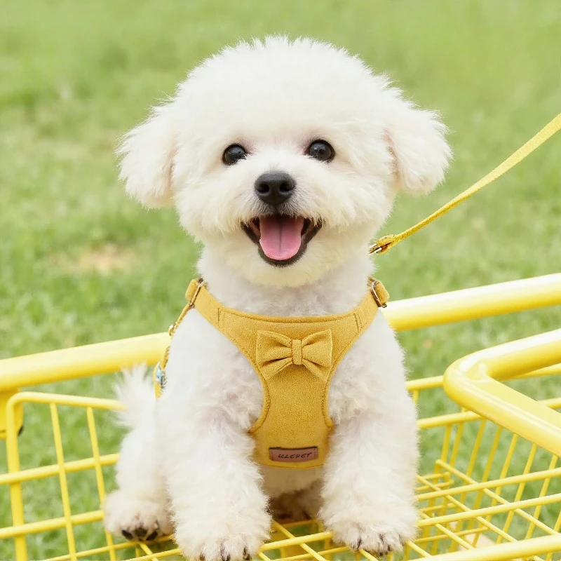 Hundegeschirr im Westen-Stil, Komplettes Hundespazier-Set mit Verstellbarem Anti-Zug-Geschirr, Leicht und Komfortabel für Kleine Hunde und Welpen im Freien