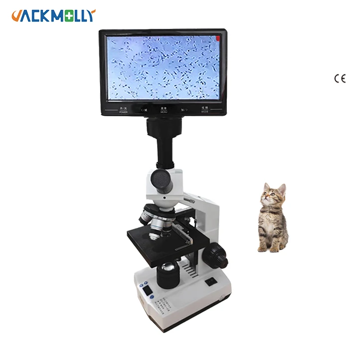 Lab Medical Binocular Microscope Microscope veterinary analyzer microscope