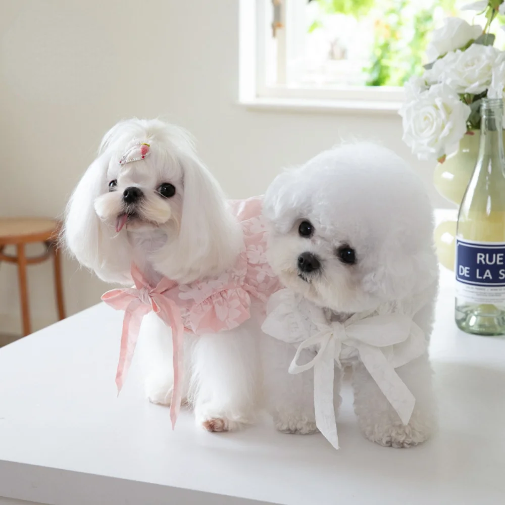 

Pet Lace Up Bow Dress Cute Neckline Dress Pet Cat Dog Teddy Dress INS Pet Clothing Dog Dresses for Small Dogs Puppy Dress