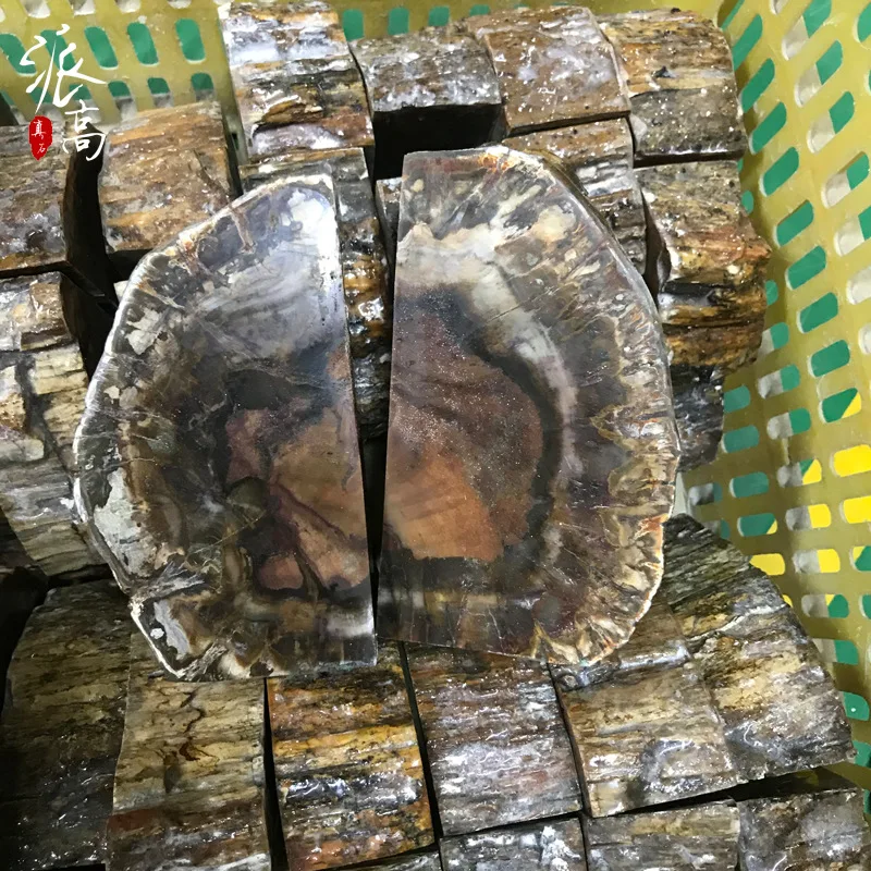 Natural wood fossil bookend book relies on book agate crystal bookcase model room study soft home decoration manufacturer
