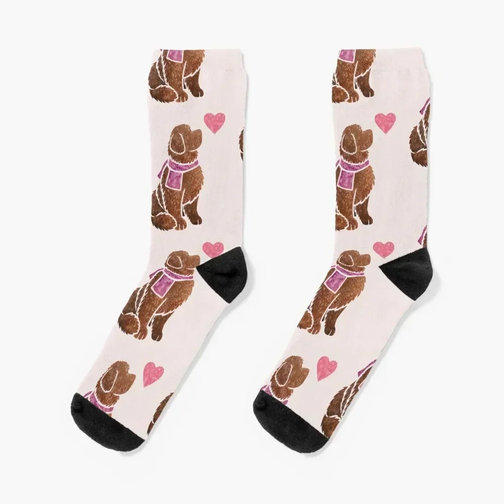 Watercolour Newfoundland (brown/liver) Socks winter thermal cycling Argentina Men's Socks Luxury Women's