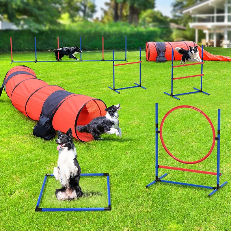 

Dog agility training equipment set Obstacle Course Training Kit Indoor Outdoor Game for Dogs with Agility Hurdle