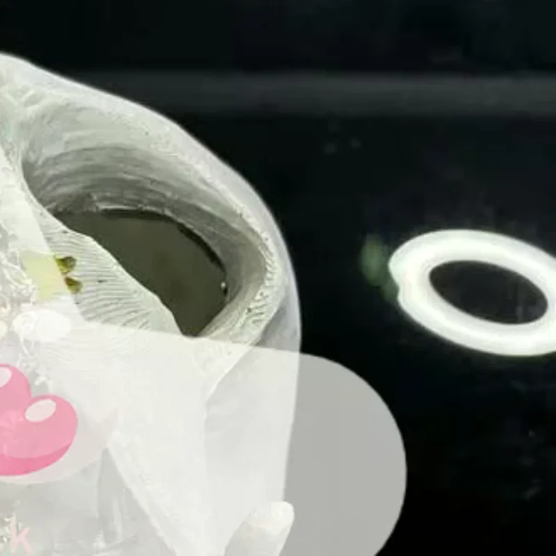 

Creative Skull Jewelry Storage Box, Gothic Halloween Decoration, Resin Desktop Storage Box, Artistic Home Decor Accessory