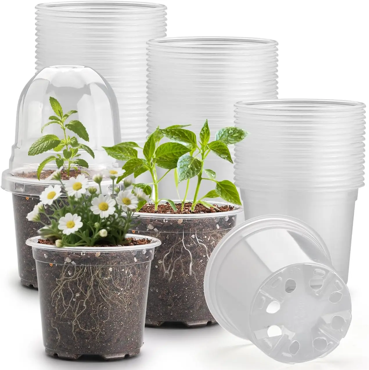 

60 Pack Clear Nursery Pots with Humidity Domes, 4 Inch Plastic Plant Pots with Drainage Holes for Seedlings, Transparent
