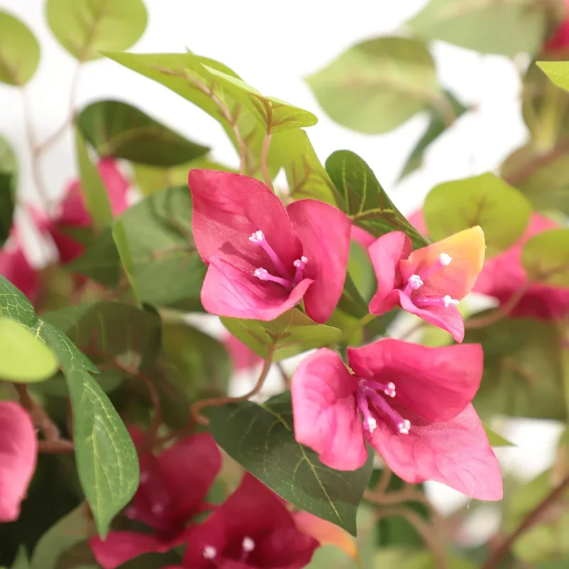 شجرة بوجينفيليا صناعية بطول 5 أقدام مع زهور في وعاء بلاستيكي شجرة مزهرة صناعية للديكور الداخلي أو الخارجي للمكتب المنزلي، 1 ص