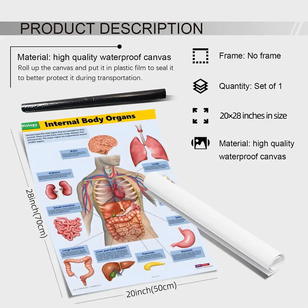 ملصق قماشي لهيكل جسم الإنسان، خالٍ من التجاعيد، مقاوم للماء، متين، ديكور جداري مثالي للمنزل، جميع المساحات #4