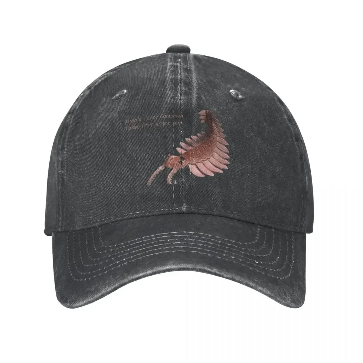 RIP Prehistoric shrimp Anomalocaris Cowboy Hat Luxury Hat Snap Back Hat Rugby Luxury Brand Female Men's