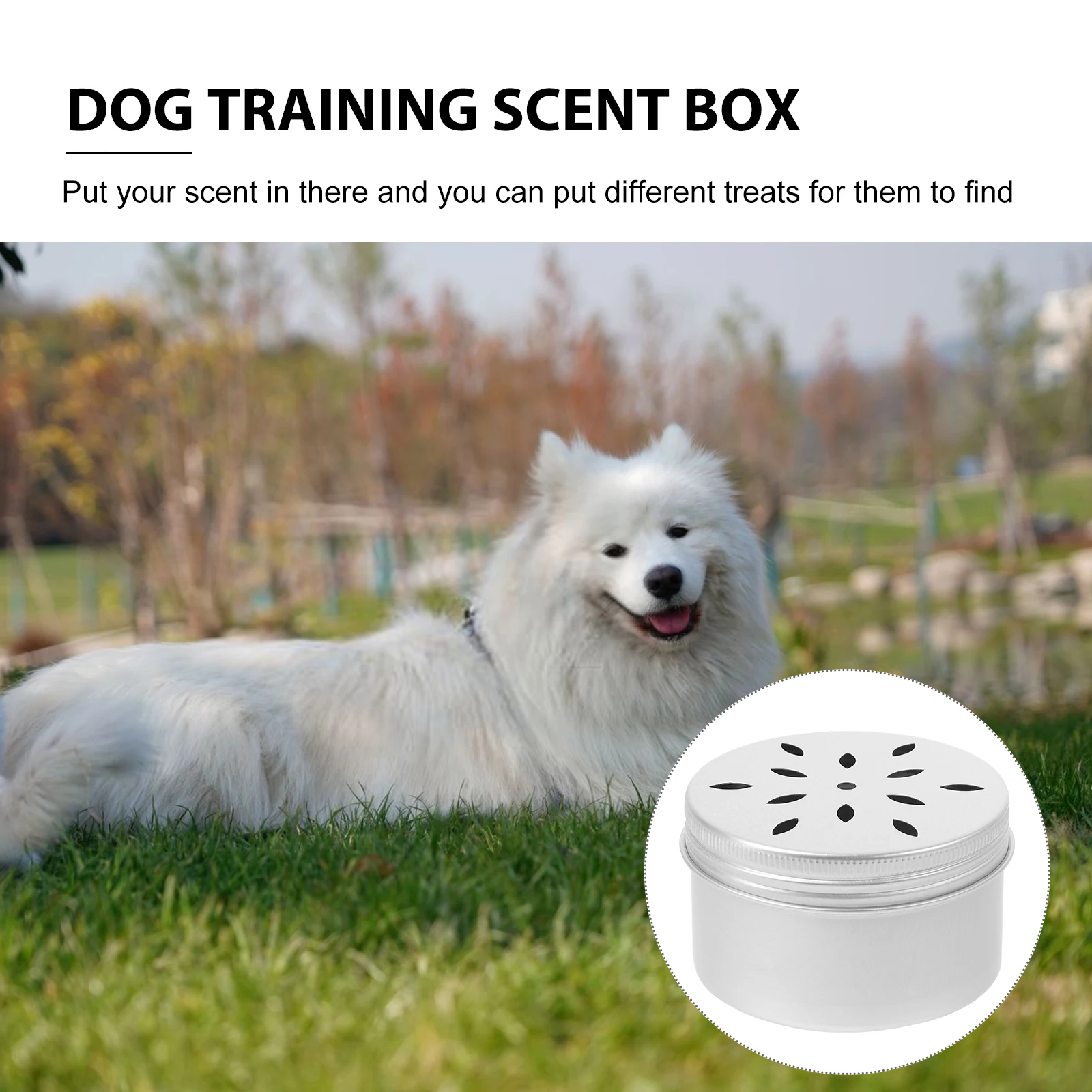 

10pcs Dog Scent Kit Nose Work Aroma Holder Odor Sniffle Box Metal Tin Lid Aluminum Tool For Dogs Scenting Nose Supplies Pet Dog