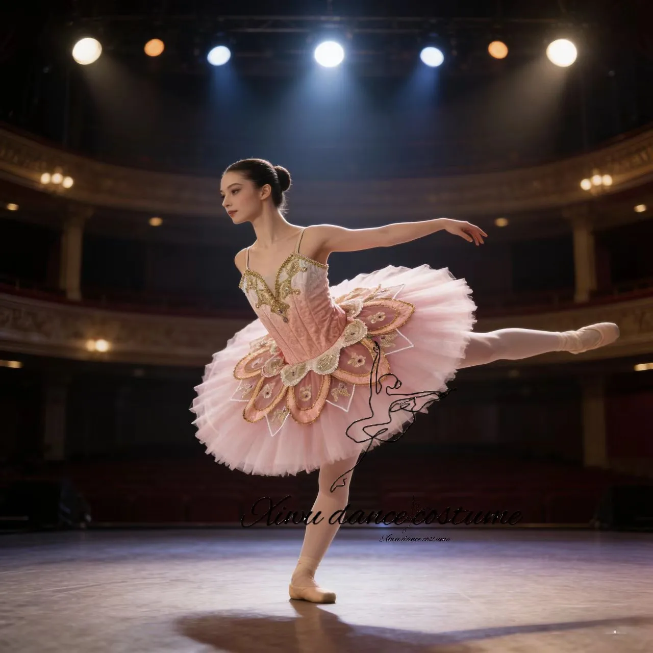 Pink Candy Fairy Professional Ballet Tutu with Gold Embroidery