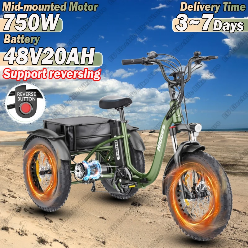 Hidoes Electro Tricycle 750W Motor 48V20AH Lithium Battery City Folding Electric Tricycle Adult 20*4.0 Fat Tire Mountain E-bike