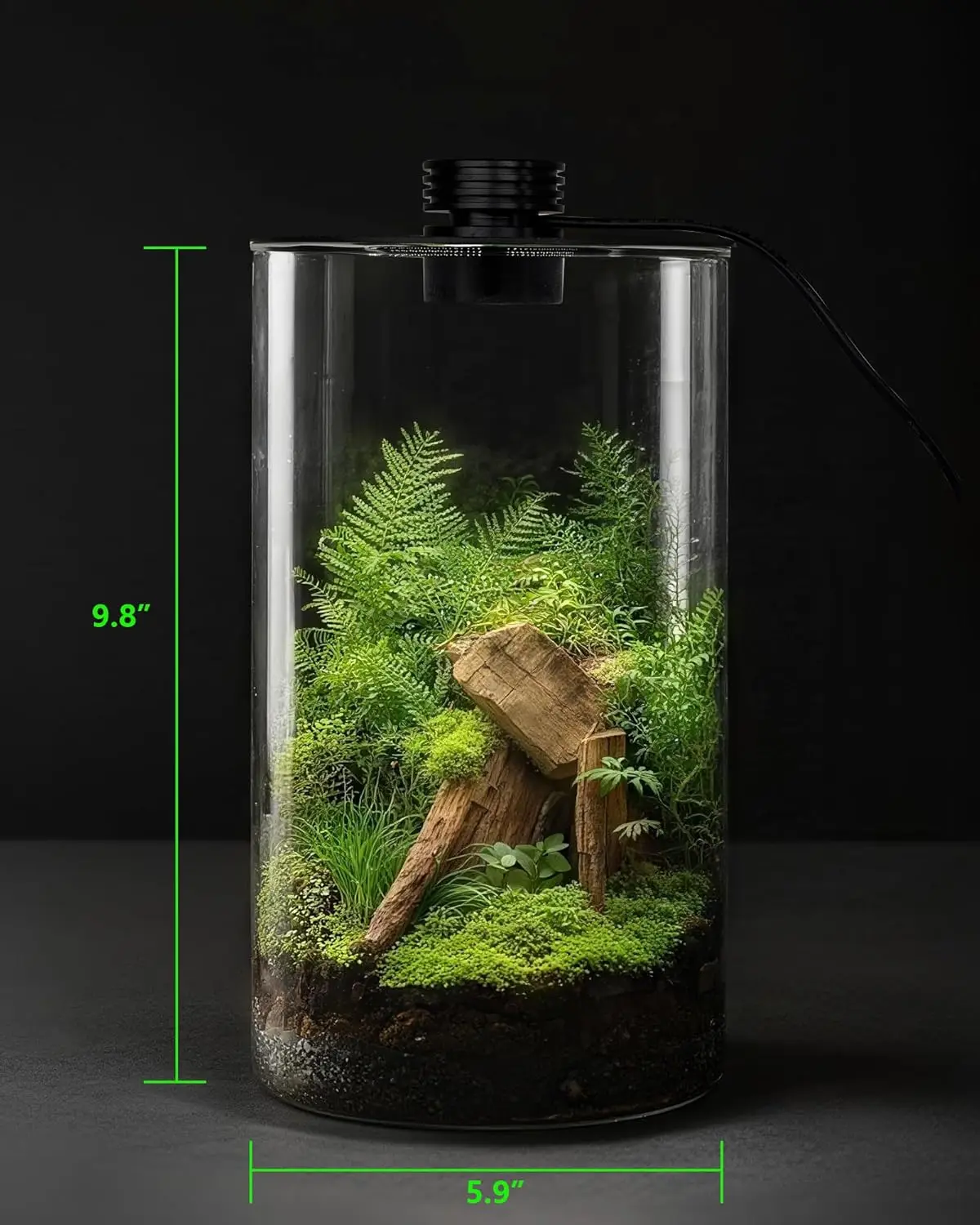 Indoor Glass Terrarium with Grow Light, 9.8" H × 5.9" D, for Succulents, Moss, Mini Gardens, Betta Fish Tanks, Mushroom Cultivation - Plant Growth Lamp for Home Office Decor, Gift for Plant Lovers - view 2