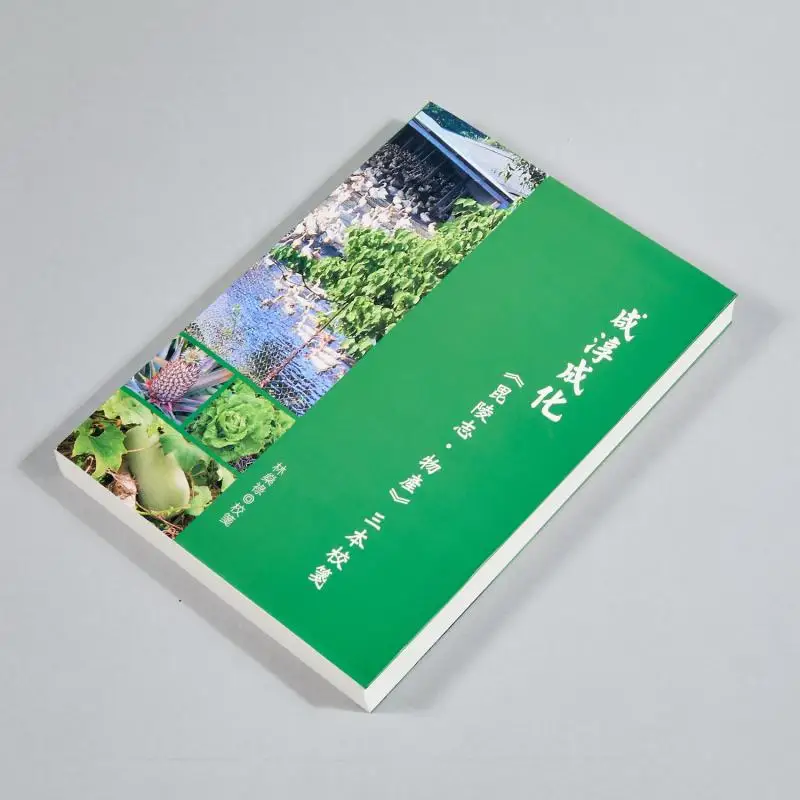 Chengchun Chenghuas Piling Annals Products  Three Main Notes Annotated By Lin Shenlu Daoxiang Publishing House 9789866078033