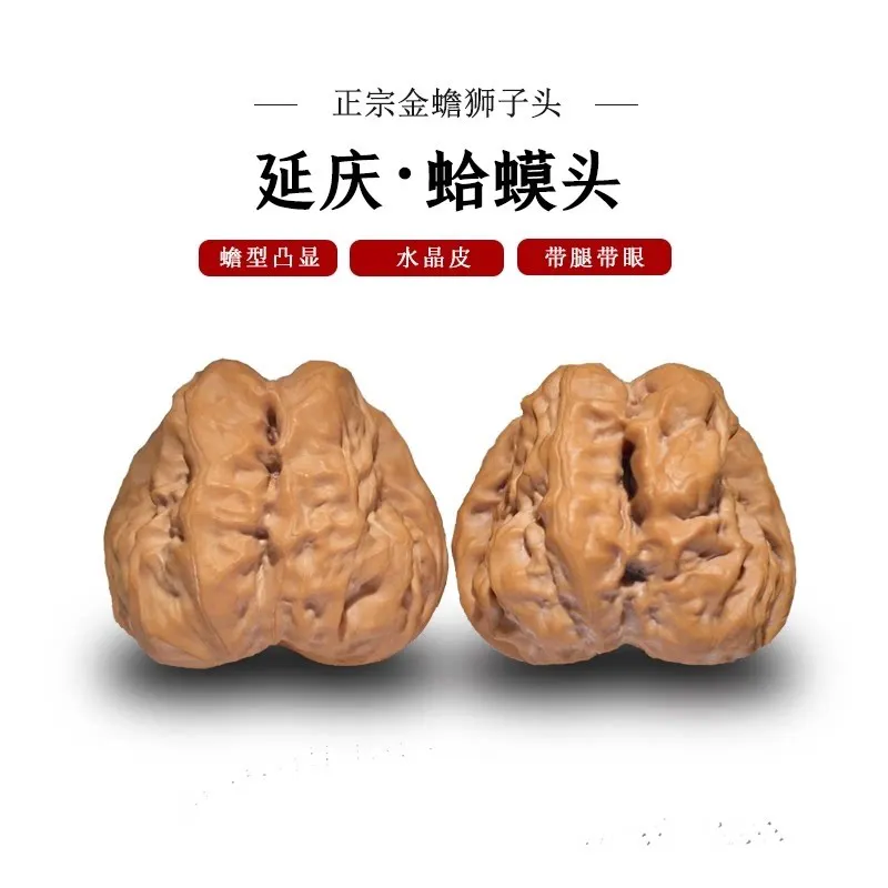 Collectible Wenwan Walnut Old Tree Golden Toad Lion Head Sunken Tip Leg Eye Open Back Natural Patterns Collection Gift Decor