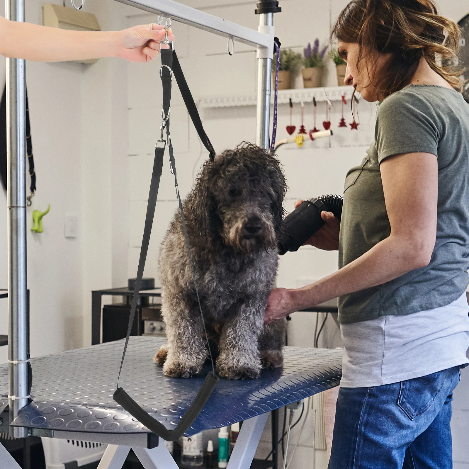 

1 set 1 Set Pet Kit With Table Arm Extensions, Dog Bathing Leash Strap, Grooming Loop For Small Medium Large Dogs, Dog Grooming