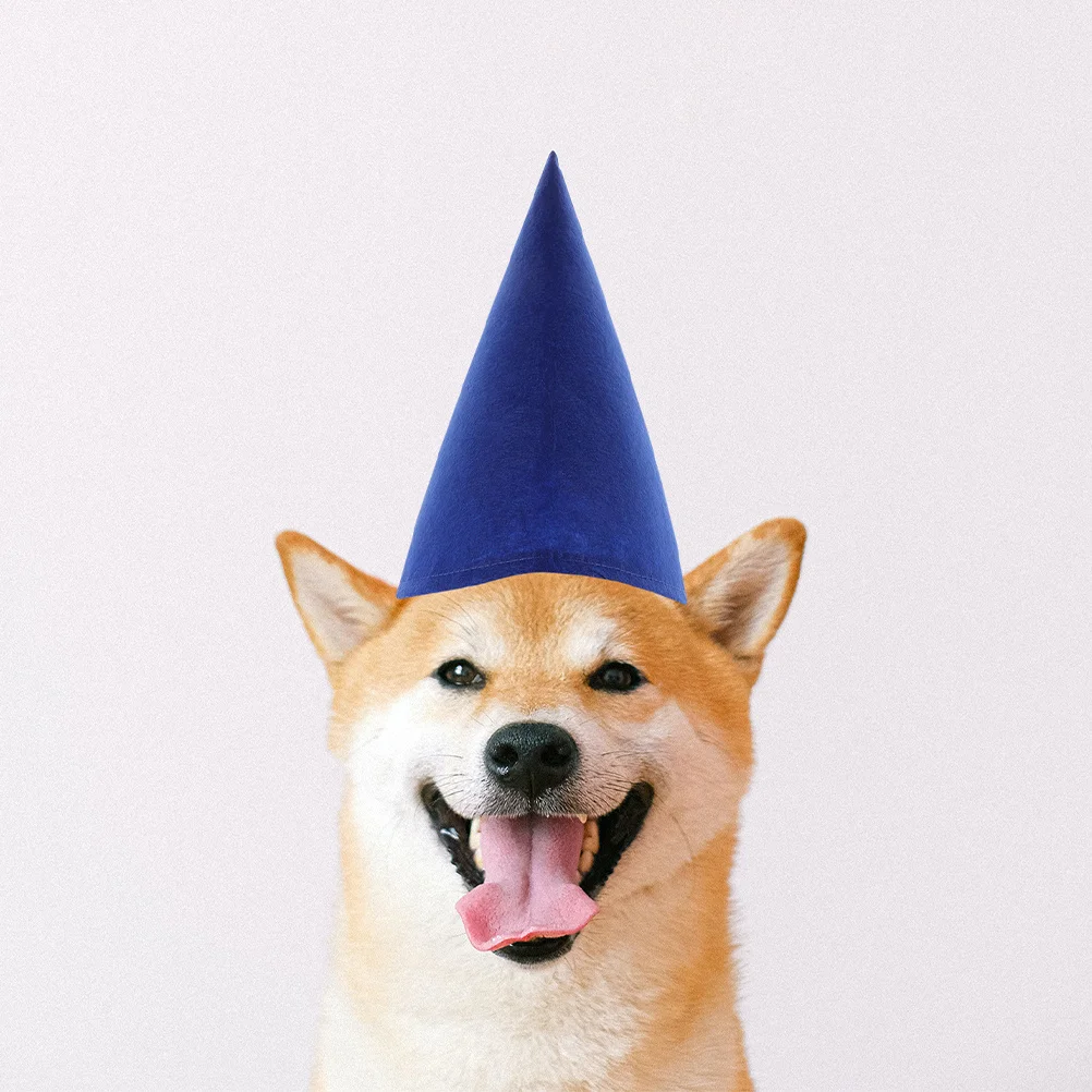 

14Pcs Cone Felt Dwarf Hats Birthday Party Halloween Christmas Gnome Hat Decorative Costume Supplies Birthday Party Hat