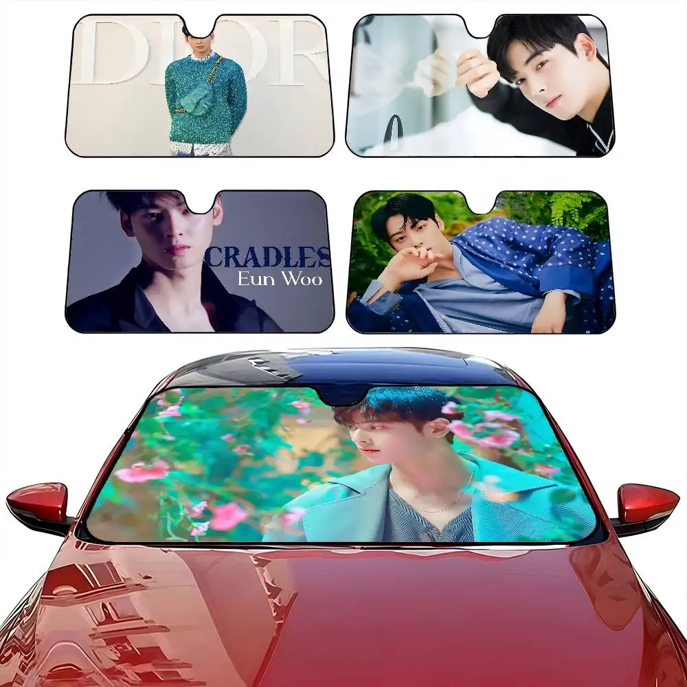 

C-Cha E-Eun W-Woo Складной солнцезащитный козырек на лобовое стекло 70x130 см Аниме Мультфильм Фольга Автомобильный солнцезащитный козырек Защитный козырек от солнца