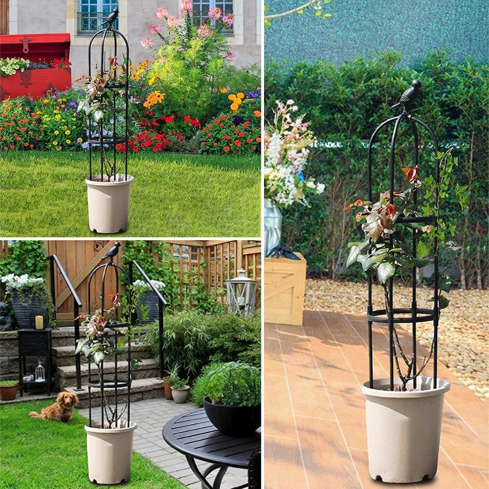 Planta de escalada treliça jardim suporte de tomate gaiolas para flores plantas quadro suporte treliça escalada diy flor videiras pote suporte